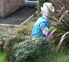 Click to Enlarge this image of a Harpole Scarecrow (2008_2/100_2588.jpg)