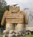 Click to Enlarge this image of a Harpole Scarecrow (2008_2/100_2693.jpg)