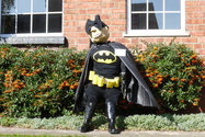 Click to Enlarge this image of a Harpole Scarecrow (2009/099.jpg)
