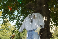 Click to Enlarge this image of a Harpole Scarecrow (2009/105.jpg)