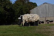 Click to Enlarge this image of a Harpole Scarecrow (2009/107.jpg)