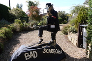 Click to Enlarge this image of a Harpole Scarecrow (2009/129.jpg)