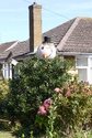 Click to Enlarge this image of a Harpole Scarecrow (2009/162.jpg)