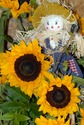 Click to Enlarge this image of a Harpole Scarecrow (2009_2/35.jpg)