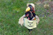 Click to Enlarge this image of a Harpole Scarecrow (2009_2/37.jpg)